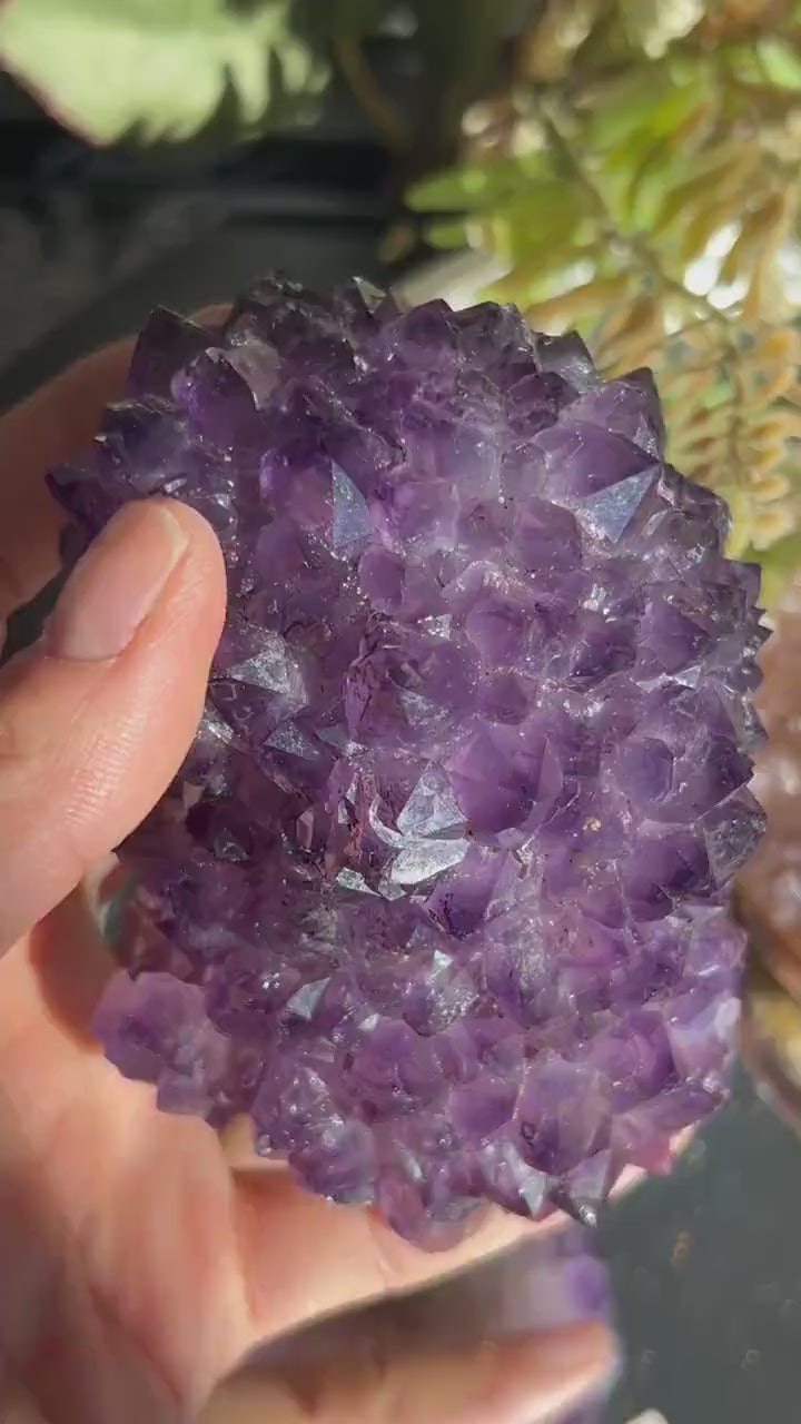 Uruguay Amethyst Specimen Geode | Mineral Specimens | Amethyst Formations | Uruguayan Amethyst | Healing Crystal | Home Decor | Crystal Gift