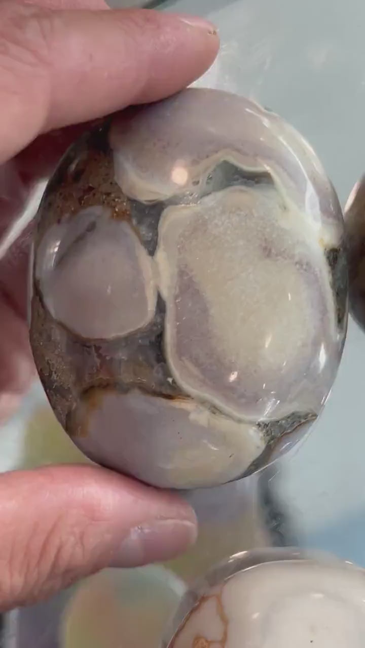 Cobra Jasper Palm Stone | King Cobra Crystal